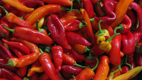 タネノオト #054