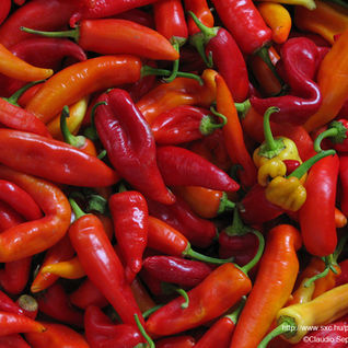 Why can spicy food make you sweat