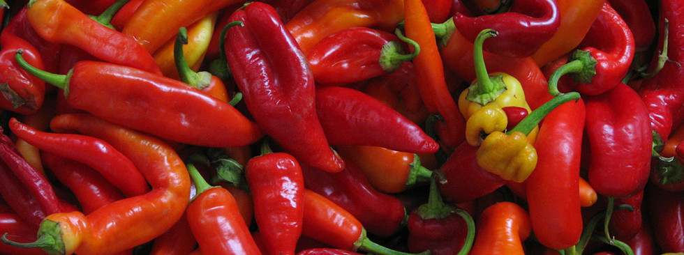 Red Chili Peppers