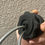 Miniaturbild: Rear view of cable pass-through highlighting slotted cap design
