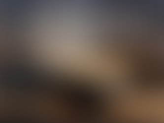 | Conteúdo para Redes Sociais | Campanha para Copa2022 PP