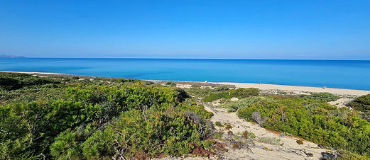 2023-10-08 10_edited.jpg