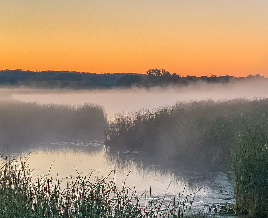 Sunrise Background