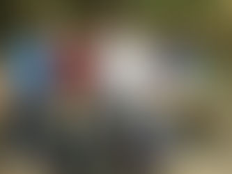 Success!! The 2019 New England Disc Golf Championships