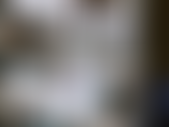 What Happens When Health Insurers Report Less Often? Rethinking Short-Termism in a Long-Term Industry