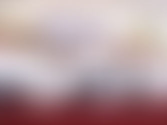 Impulsa Gobierno Estatal proyecto para procesar piel y fortalecer industria del calzado