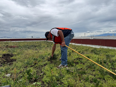 Congreso del Estado pendiente de afectaciones por lluvias