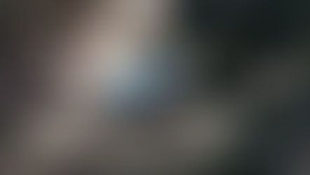 Macabro hallazgo en la colonia Naciones Unidas: encuentran restos humanos en bolsa de basura