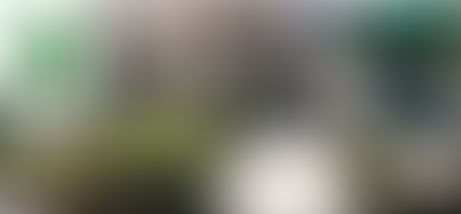 Golpe a la educación: ladrones vacían el laboratorio de cómputo del COBAEP U3 en San Jerónimo Caleras