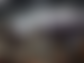 La Diputada Celia Bonaga organiza Foro sobre Procuración de Fondos