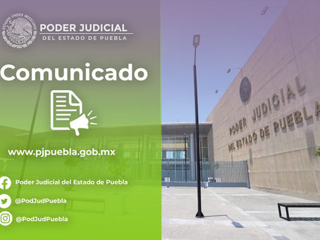 Tribunal de Alzada ordena reposición parcial del procedimiento en juicio por violencia familiar