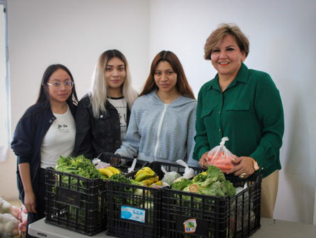 Impulsa diputada Floricel González Jornada de Entrega de Despensas Verdes