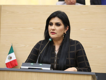 Plantea la diputada Delfina Pozos ajuste a reformas sobre el delito de despojo