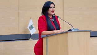 Delfina Pozos presenta queja por presuntas irregularidades en procedimientos legislativos sobre Acatlán, Esperanza y Tepeyahualco