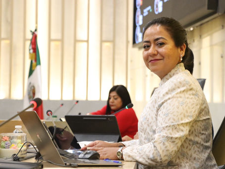 Propone diputada Celia Bonaga Programa Metropolitano de Corredores Seguros