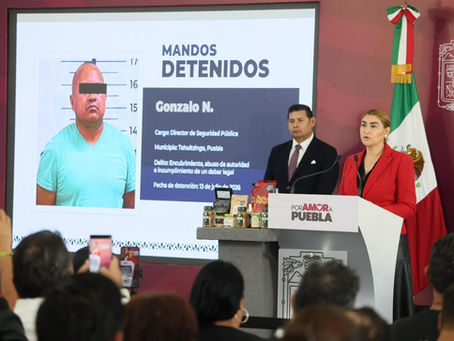 Con inteligencia y estrategia, Gobierno Estatal desmantela producción de estupefacientes en Sierra Norte