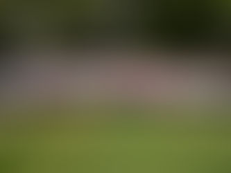 Somos la mejor opción afirma Lalo Rivera frente a liderazgos de todo el estado de cara a la próxima contienda electoral