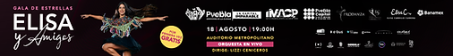 ELISA Y AMIGOS_BANNERS WEB_1200X150 (1).png