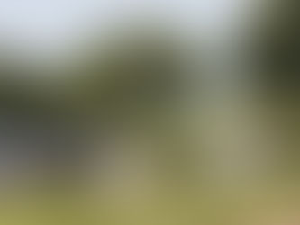¡Macabro hallazgo en Cuautinchán! Localizan vehículo con presuntos cuerpos en su interior