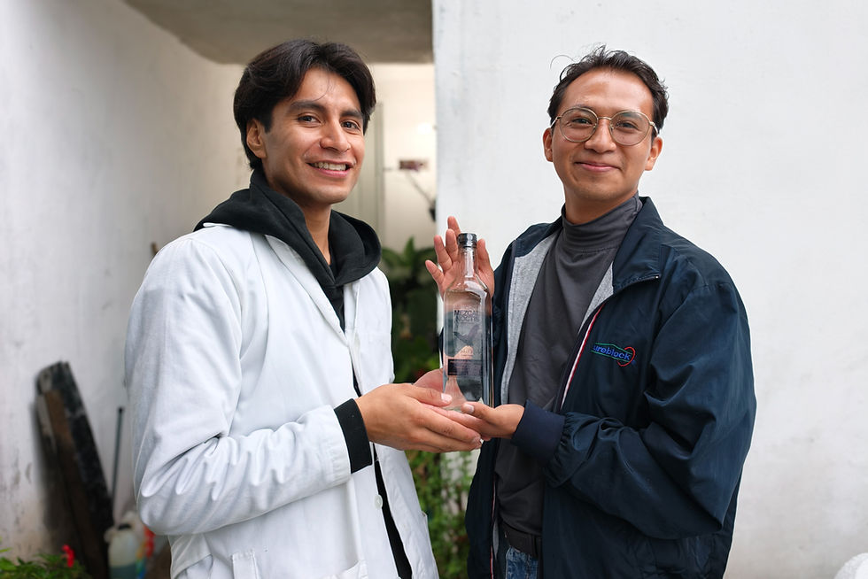 Noctis la unión entre la ciencia y las tradiciones en el arte mezcalero