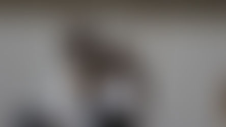 Gobierno de Pepe Chedraui impulsa la cultura de la rendición de cuentas entre personas universitarias