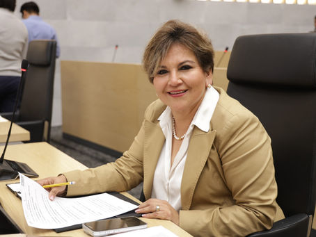 Impulsa diputada Floricel González iniciativa para evitar el rezago y el abandono escolar por causas físicas o mentales