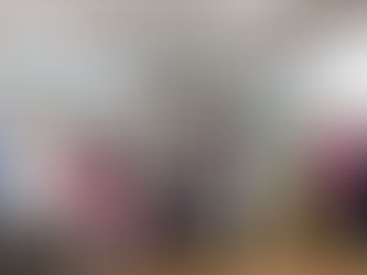 Presentan mujeres del PRD acción de inconstitucionalidad contra reforma del PLAN B ante la CDH