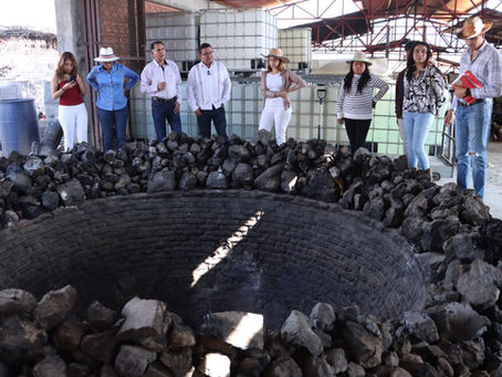 Trabajo en territorio: Pável Gaspar impulsa desarrollo, turismo y bienestar en la Mixteca poblana