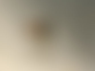 Secretaría de Seguridad Ciudadana y Protección Civil de Cuautlancingo, detiene a sujeto por robo agravado a casa-habitación