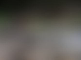 ¡Lluvias vuelven a causar severos daños en el Paso de los Gallos!