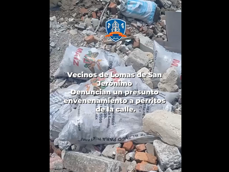 ¡Terrible! Matan a perros y gatos en San Jerónimo Caleras con veneno para ratas