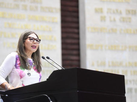 Diputada Genoveva Huerta exige a CFE restablecimiento inmediato de energÃa en Cañada Morelos