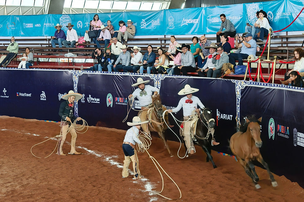 ¡La charrería juvenil toma Puebla! Más de 3 mil competidores buscan la gloria nacional
