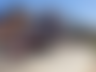 Atiende Protección Civil Municipal reportes de caída de árboles en diversas zonas de la ciudad