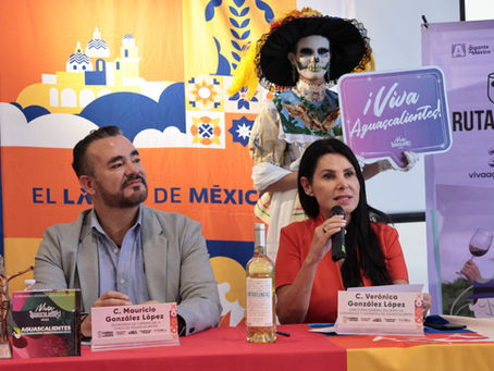 Puebla ahora tiene vuelo directo a Aguascalientes