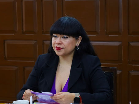 Evalúa Comisión avances de la guía "Derecho a Saber"
