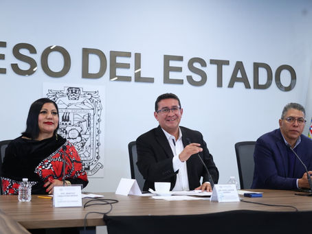 Diputación migrante debe representar a la comunidad: Pavel Gaspar