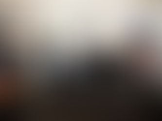 Comparecen en Comisiones del Congreso secretarios de la Función Pública y EconomÃa