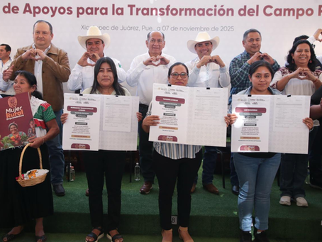 Sierra norte se mantiene de pie con apoyos para transformar el campo en Xicotepec y Huauchinango