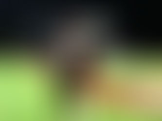 Yuna y Leonel se roban el show en el Kukulcán con espectacular baile 🔥