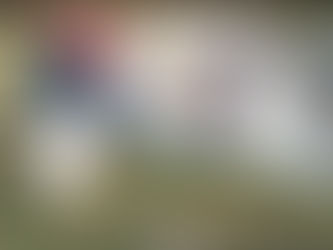 Impulsa Gobierno de Pepe Chedraui proyecto de lombricomposta en la capital