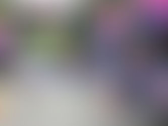 Gran éxito del Tercer Medio Maratón 2024 de la Ciudad de Puebla