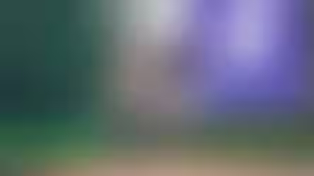 Pericos y guerreros libraron su primera batalla en la pretemporada