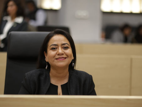 Impulsa diputada Delfina Pozos iniciativa para crear el Programa Estatal de Capacitación para Personas Adultas Mayores