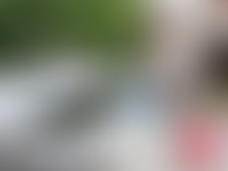 Puebla, sin nuevos casos por dengue en últimas 24 horas: Salud