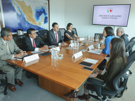 Con trabajo coordinado, gobierno de Armenta construye la paz para familias poblanas