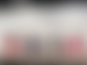 Presentan en Comisión del Congreso propuesta de Encuesta Digital para Organizaciones No Gubernamentales