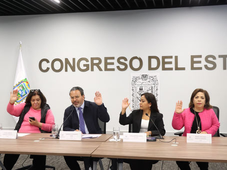 Presentan en Comisión del Congreso propuesta de Encuesta Digital para Organizaciones No Gubernamentales