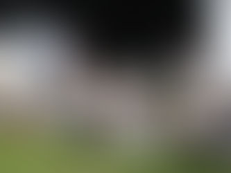 Pericos Campeón de la Zona Sur