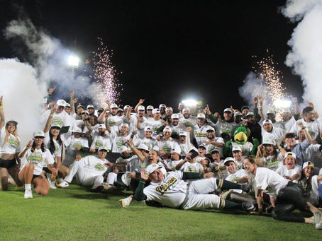 Pericos Campeón de la Zona Sur